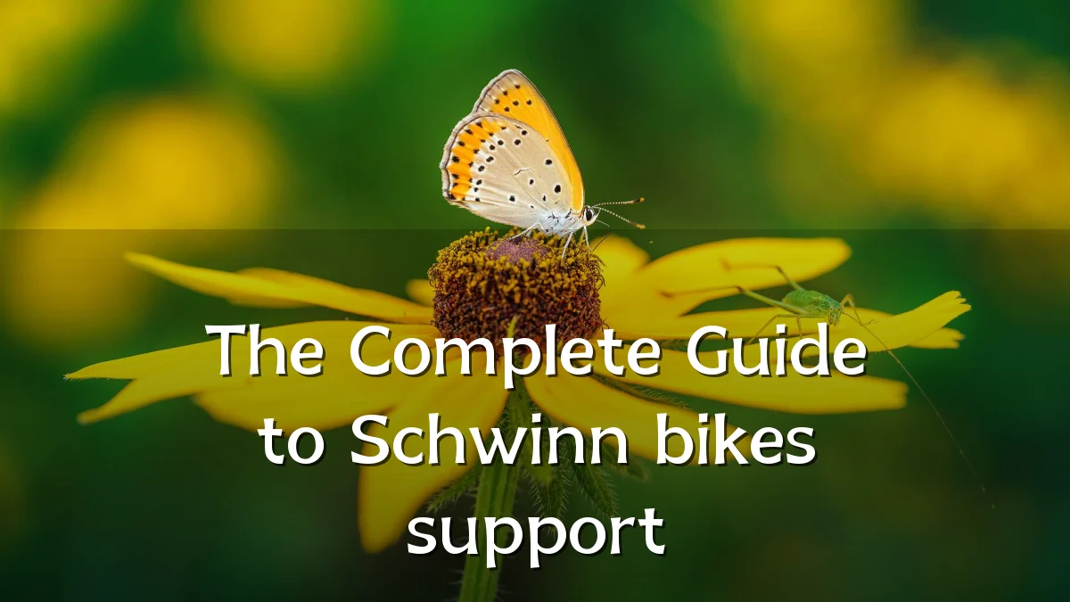 The Complete Guide to Schwinn bikes support