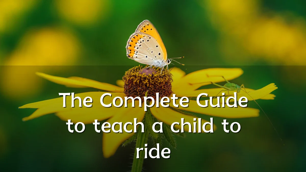 The Complete Guide to teach a child to ride