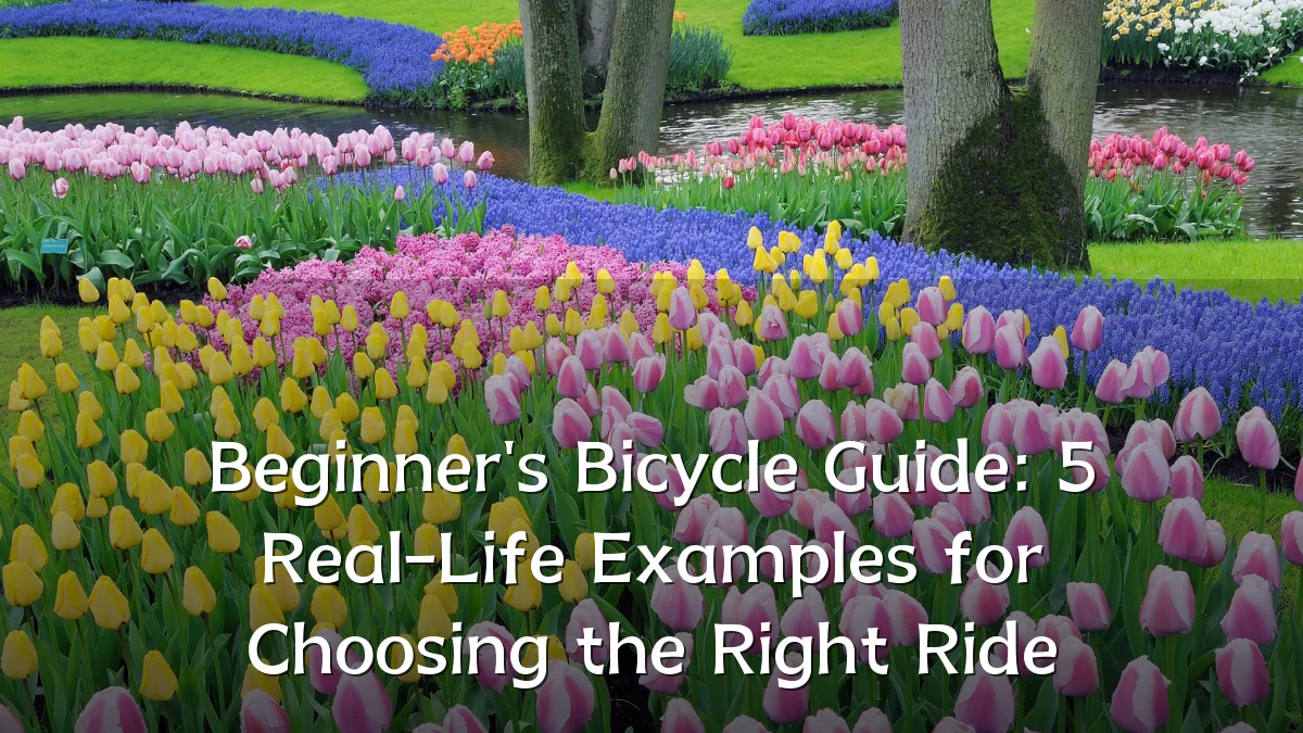 Beginner's Bicycle Guide: 5 Real-Life Examples for Choosing the Right Ride