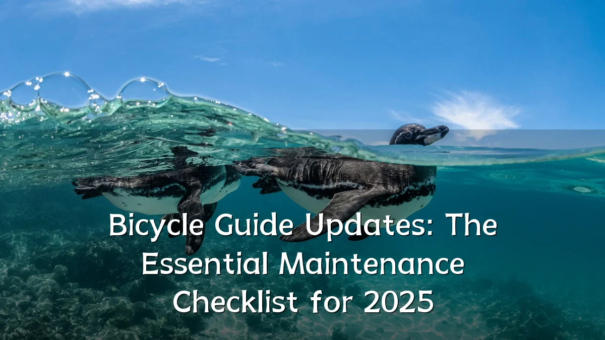 Bicycle Guide Updates: The Essential Maintenance Checklist for 2025