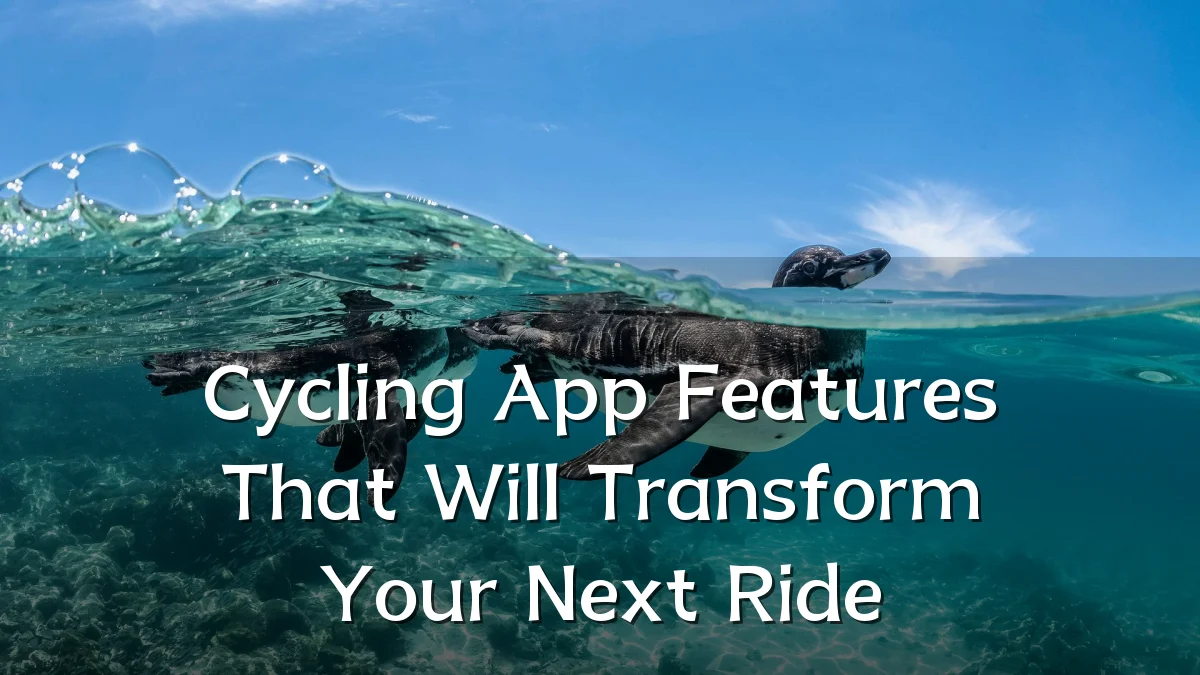 Cycling App Features That Will Transform Your Next Ride
