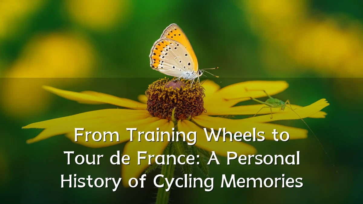 From Training Wheels to Tour de France: A Personal History of Cycling Memories