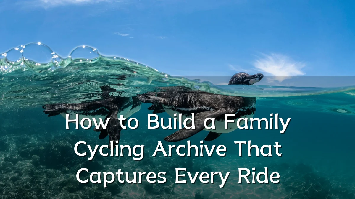 How to Build a Family Cycling Archive That Captures Every Ride