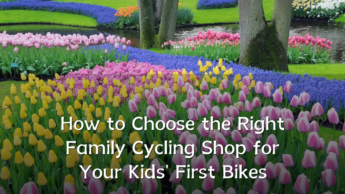 How to Choose the Right Family Cycling Shop for Your Kids' First Bikes