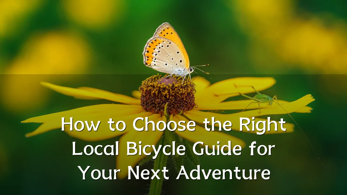 How to Choose the Right Local Bicycle Guide for Your Next Adventure