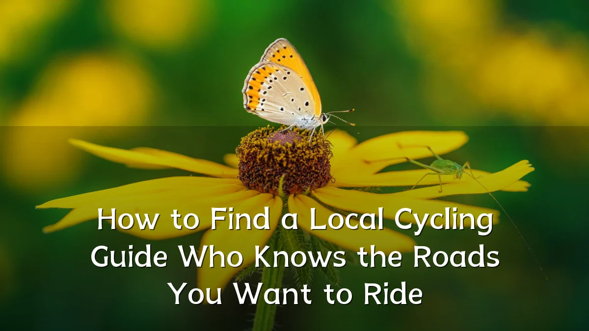 How to Find a Local Cycling Guide Who Knows the Roads You Want to Ride