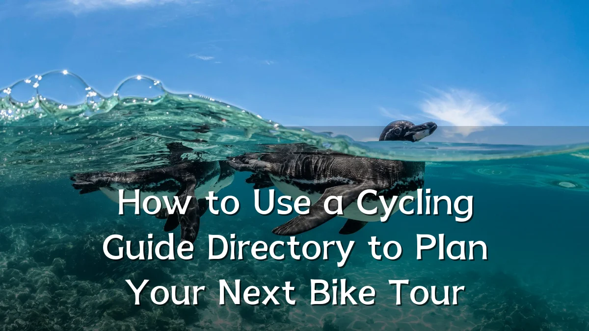 How to Use a Cycling Guide Directory to Plan Your Next Bike Tour