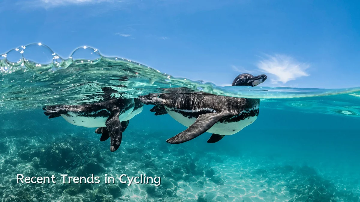 Recent Trends in Cycling