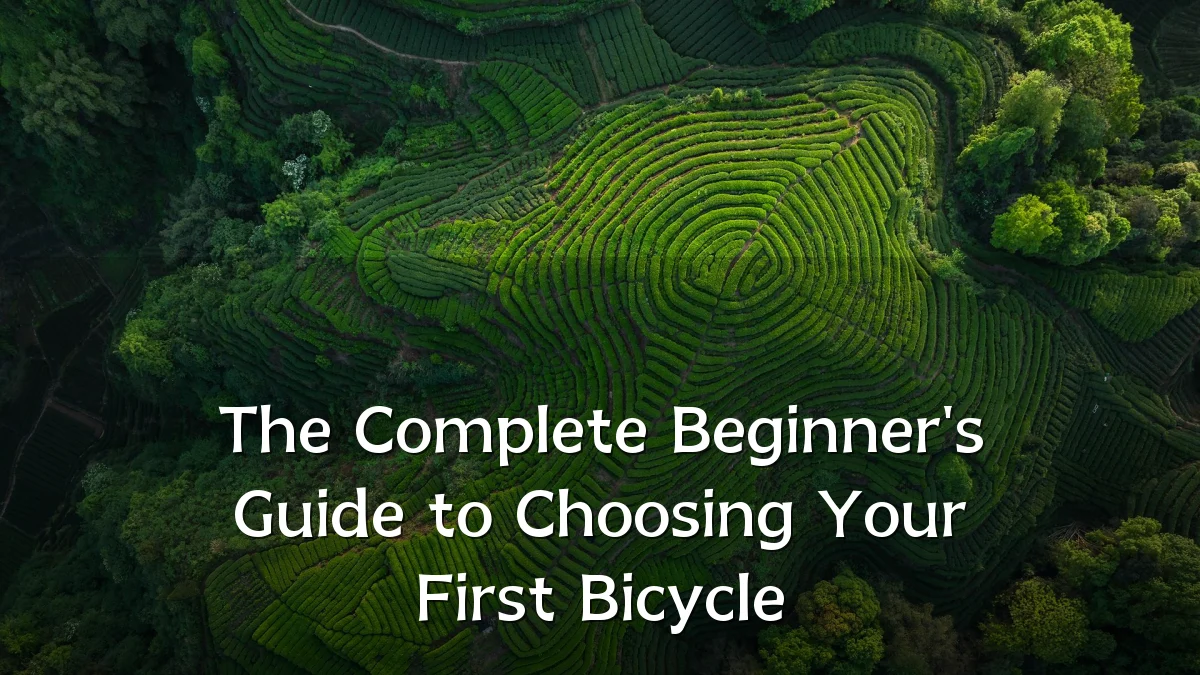The Complete Beginner's Guide to Choosing Your First Bicycle