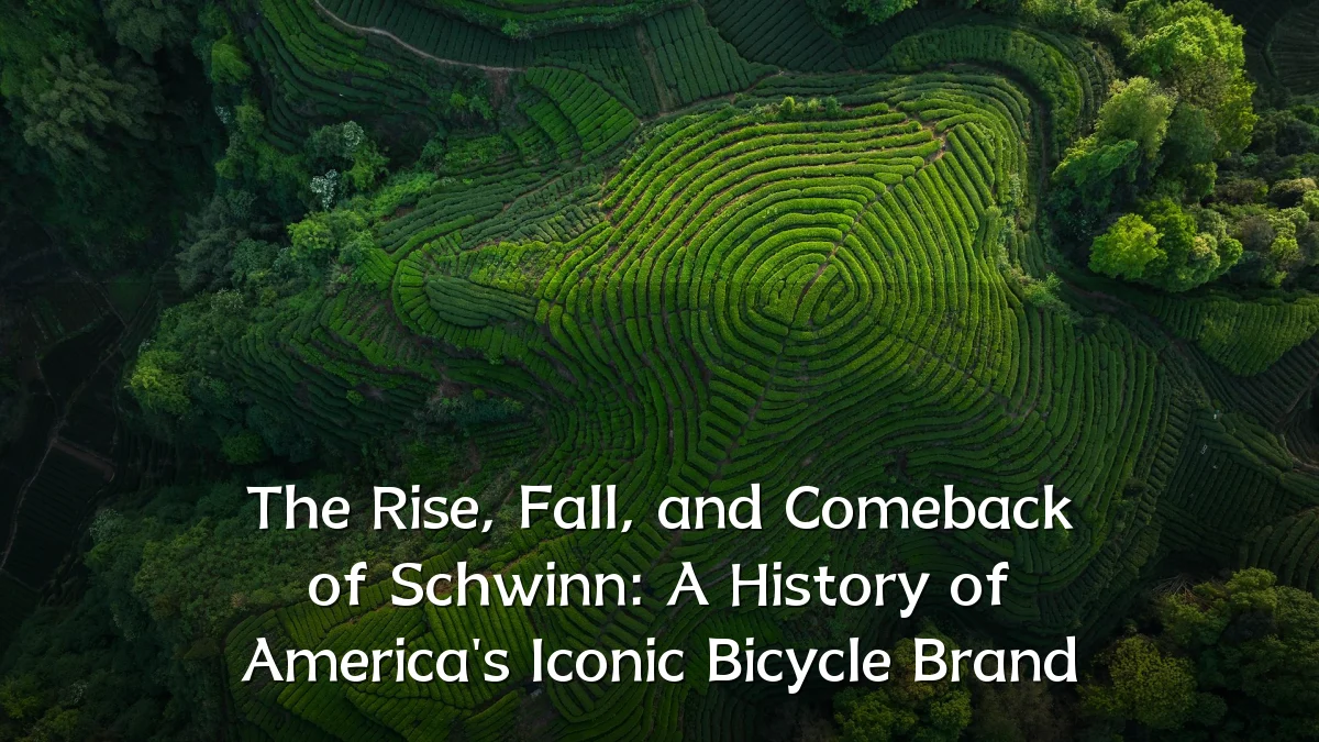 The Rise, Fall, and Comeback of Schwinn: A History of America's Iconic Bicycle Brand