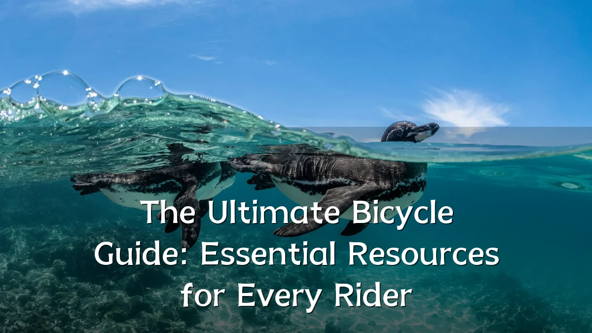 The Ultimate Bicycle Guide: Essential Resources for Every Rider