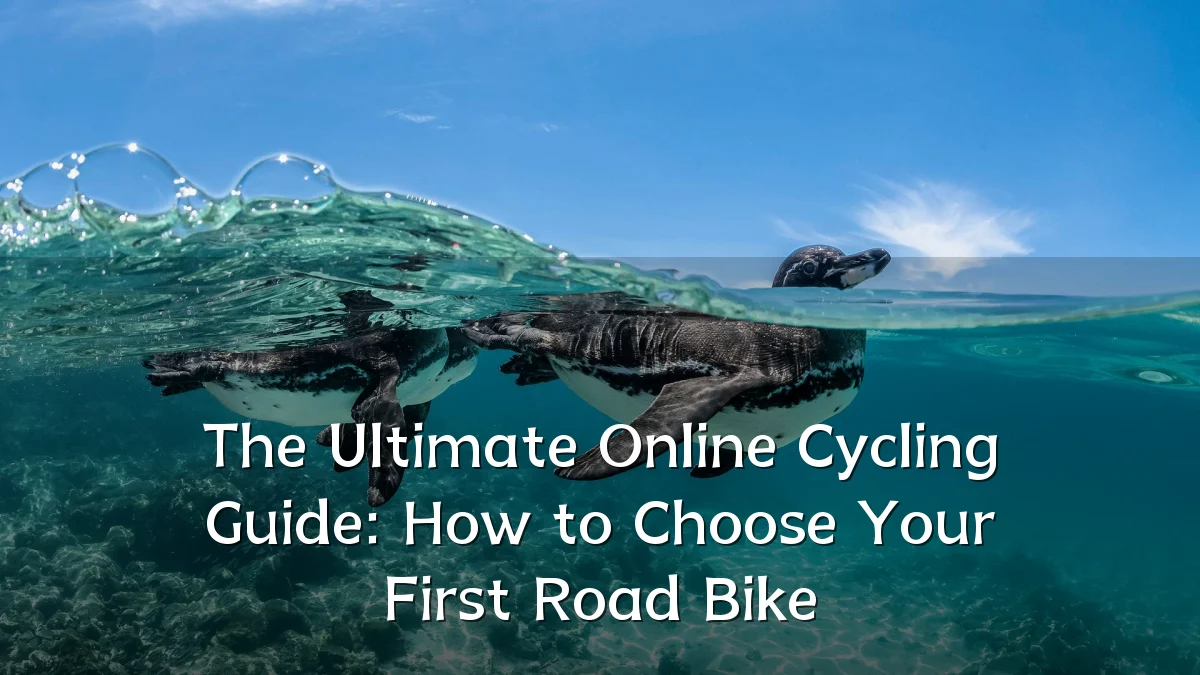 The Ultimate Online Cycling Guide: How to Choose Your First Road Bike