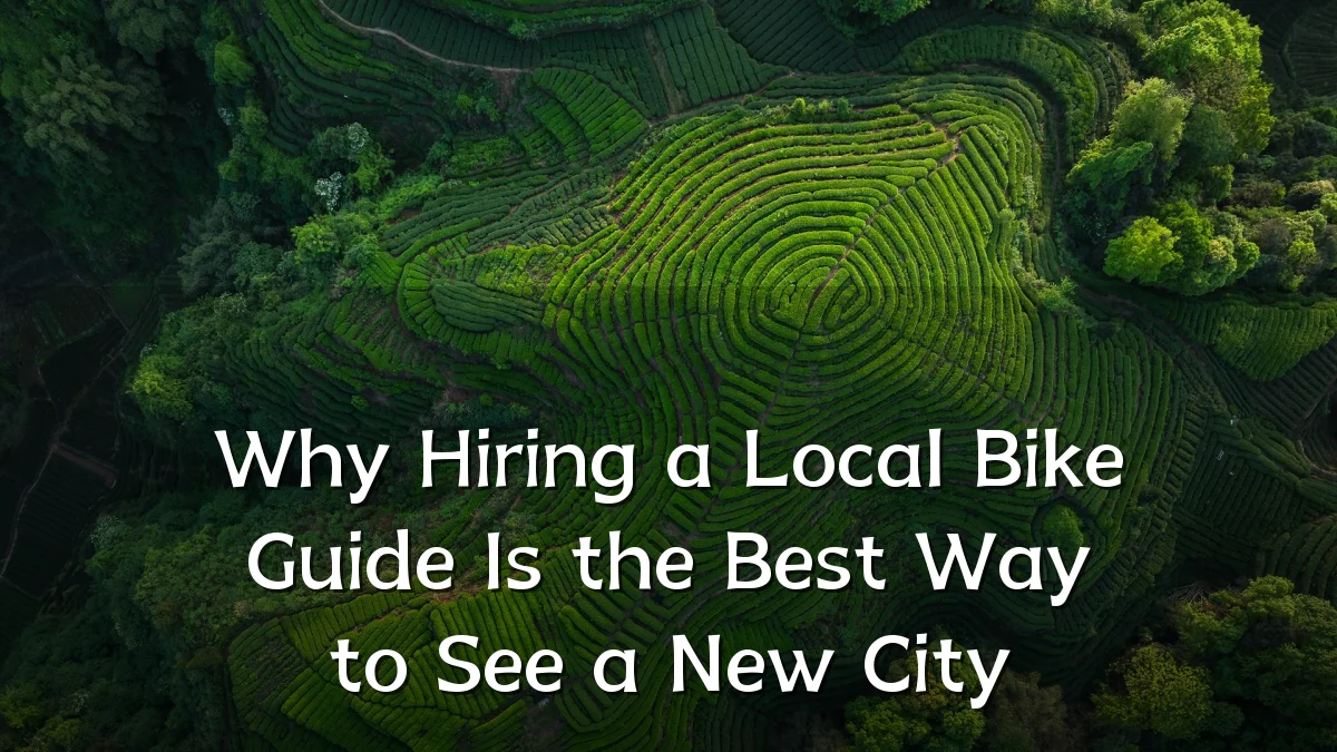 Why Hiring a Local Bike Guide Is the Best Way to See a New City