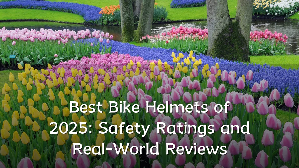 Best Bike Helmets of 2025: Safety Ratings and Real-World Reviews