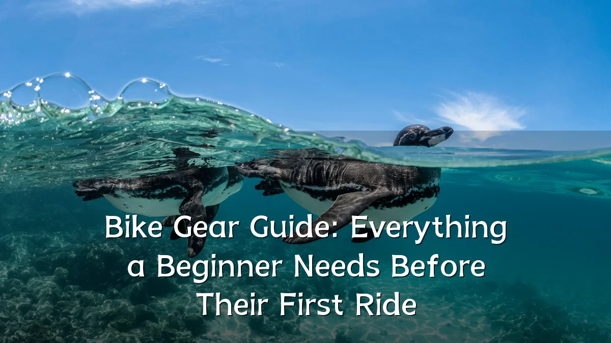 Bike Gear Guide: Everything a Beginner Needs Before Their First Ride