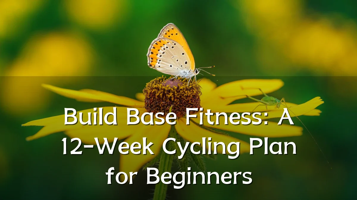 Build Base Fitness: A 12-Week Cycling Plan for Beginners