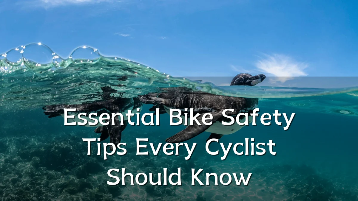 Essential Bike Safety Tips Every Cyclist Should Know