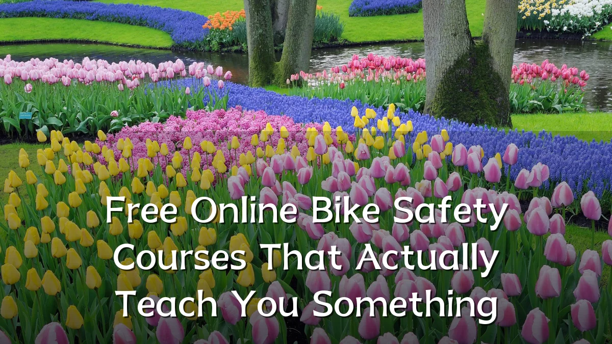 Free Online Bike Safety Courses That Actually Teach You Something