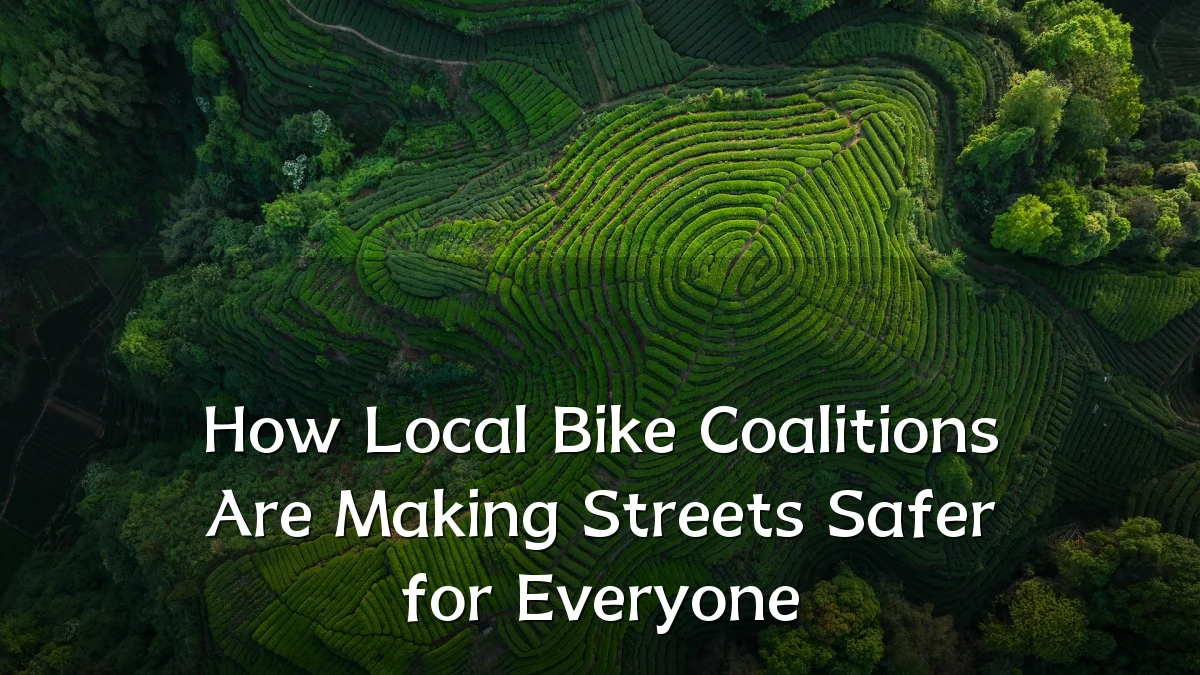 How Local Bike Coalitions Are Making Streets Safer for Everyone