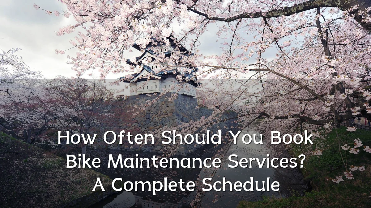 How Often Should You Book Bike Maintenance Services? A Complete Schedule
