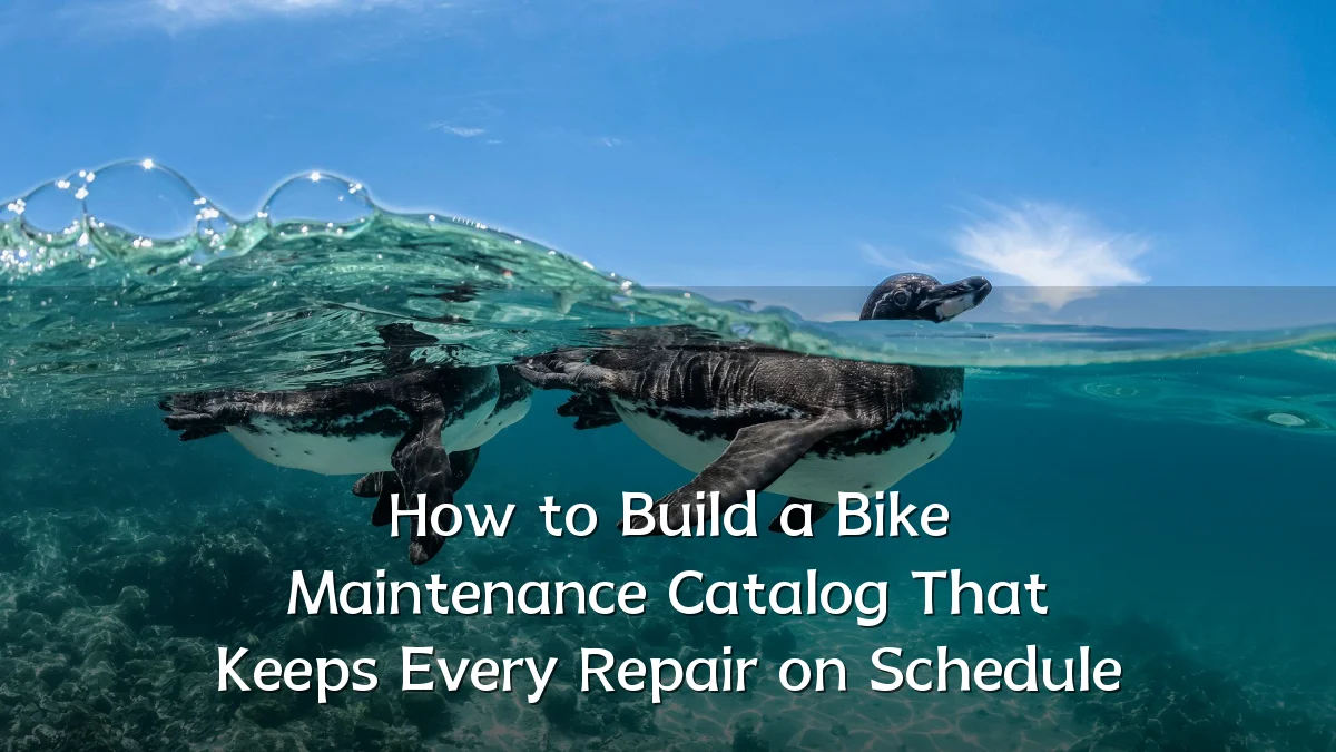 How to Build a Bike Maintenance Catalog That Keeps Every Repair on Schedule