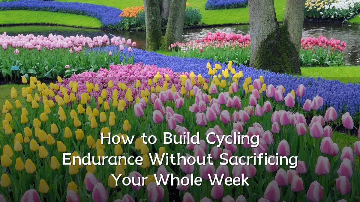 How to Build Cycling Endurance Without Sacrificing Your Whole Week