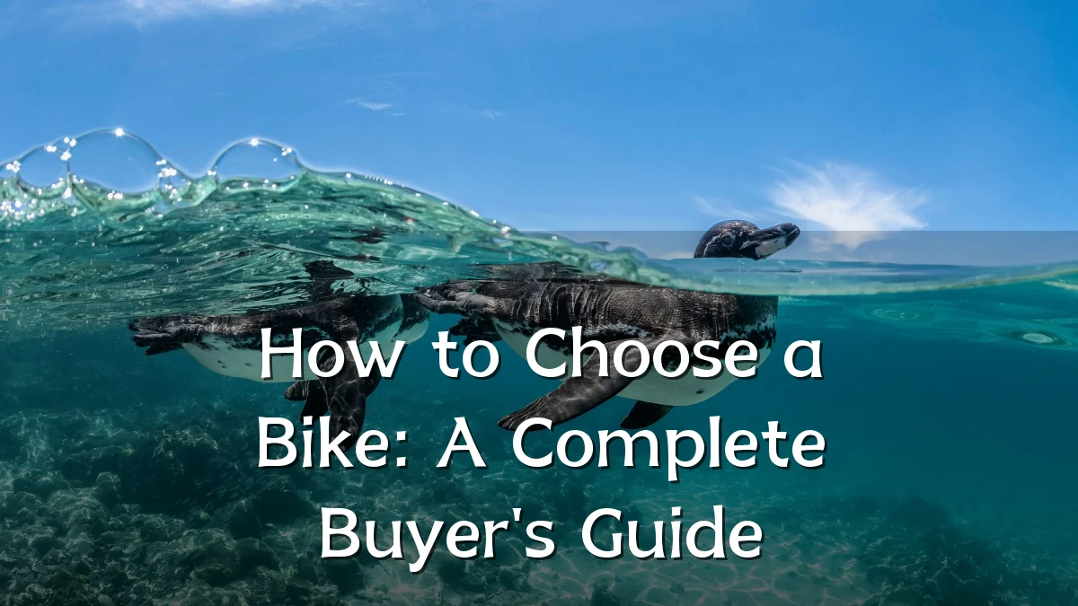 How to Choose a Bike: A Complete Buyer's Guide