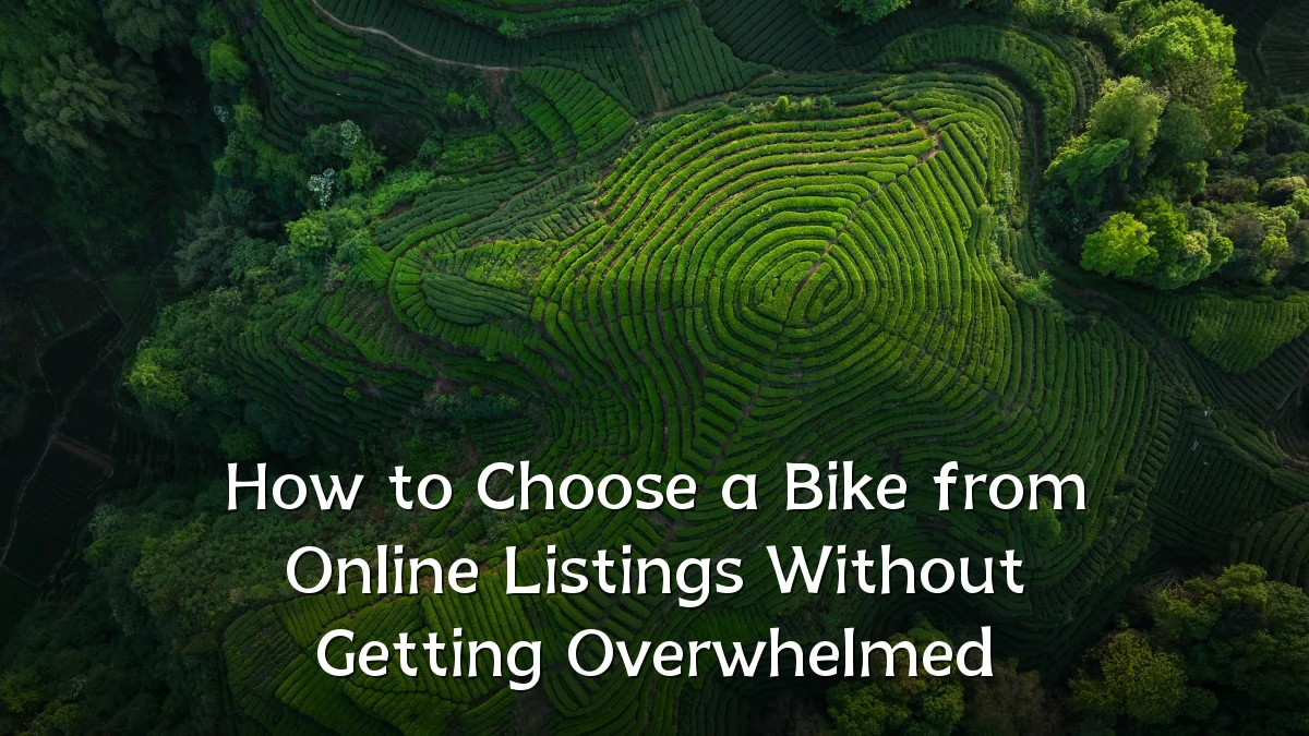 How to Choose a Bike from Online Listings Without Getting Overwhelmed