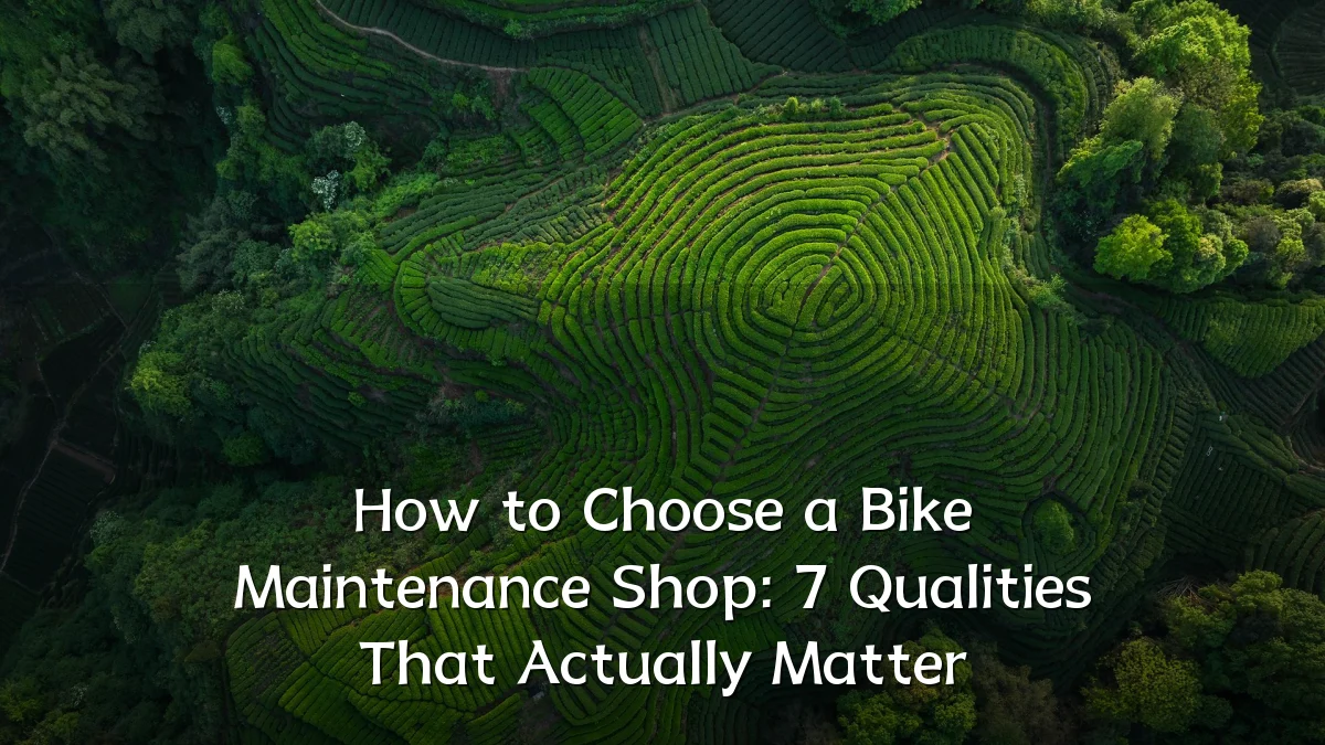 How to Choose a Bike Maintenance Shop: 7 Qualities That Actually Matter