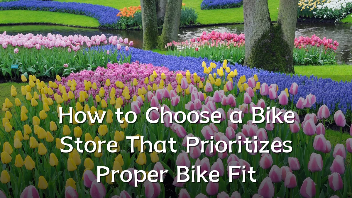 How to Choose a Bike Store That Prioritizes Proper Bike Fit