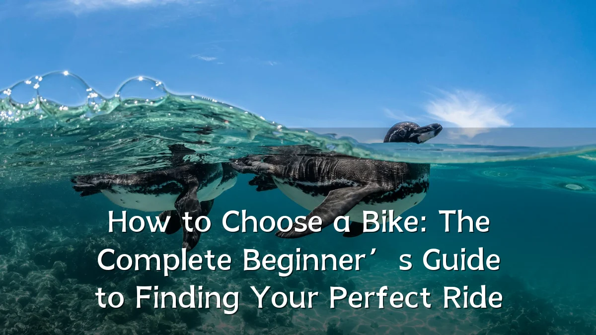 How to Choose a Bike: The Complete Beginner’s Guide to Finding Your Perfect Ride