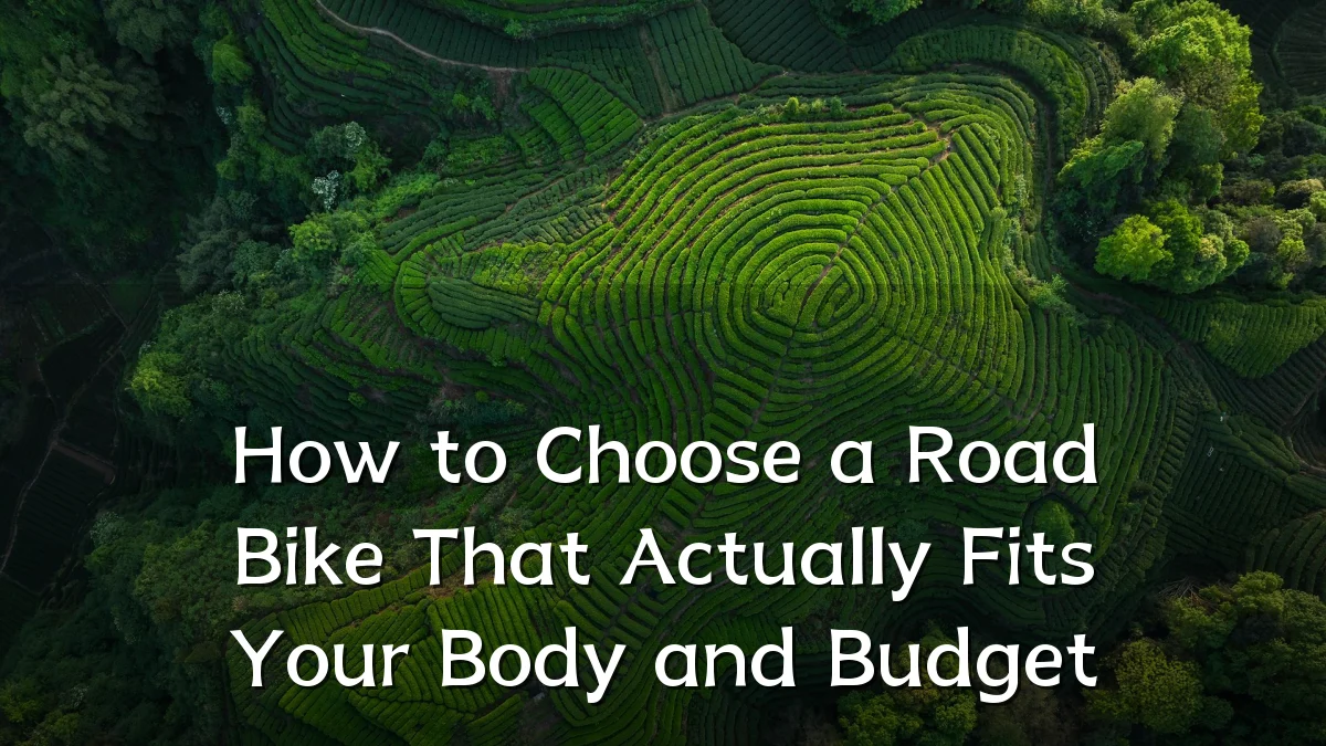 How to Choose a Road Bike That Actually Fits Your Body and Budget