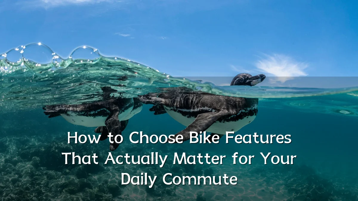 How to Choose Bike Features That Actually Matter for Your Daily Commute