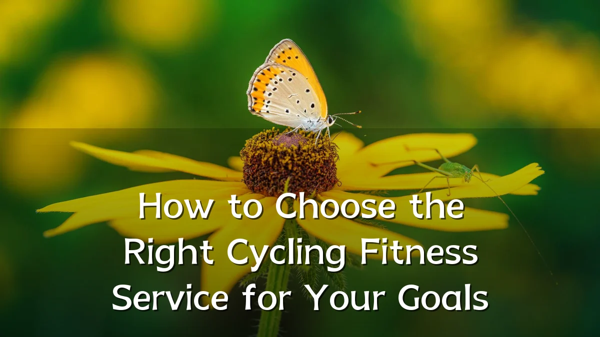 How to Choose the Right Cycling Fitness Service for Your Goals