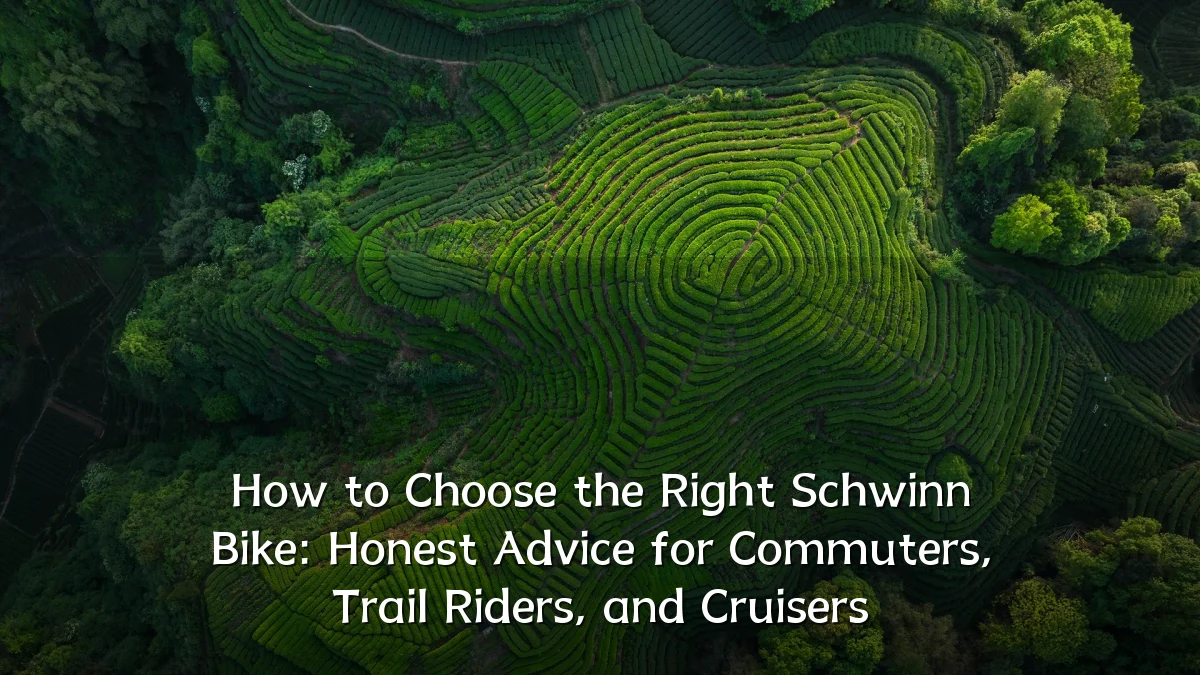 How to Choose the Right Schwinn Bike: Honest Advice for Commuters, Trail Riders, and Cruisers