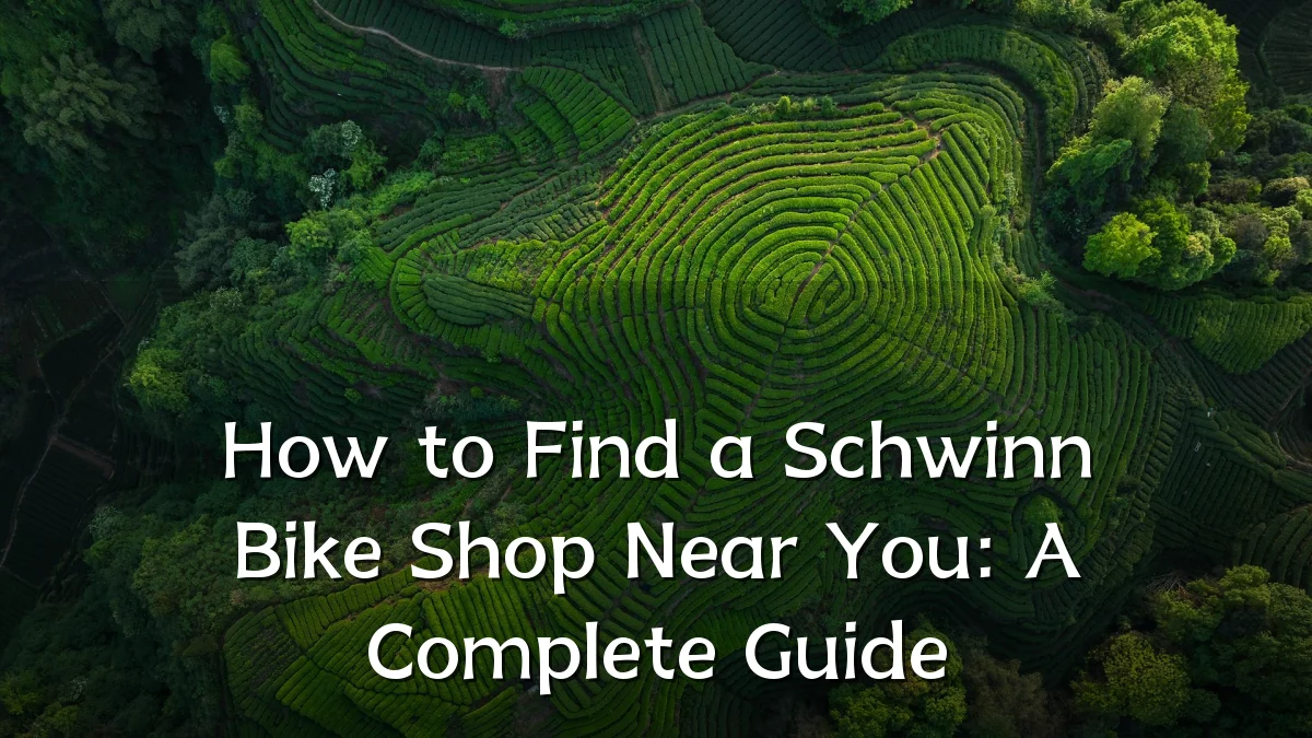 How to Find a Schwinn Bike Shop Near You: A Complete Guide
