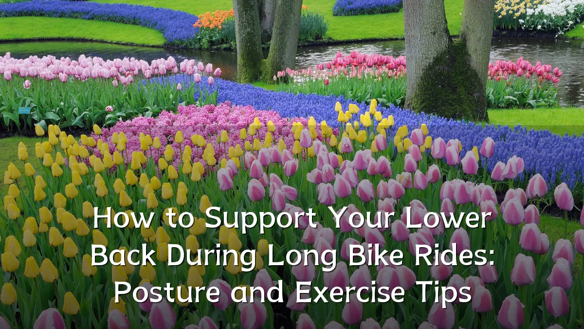 How to Support Your Lower Back During Long Bike Rides: Posture and Exercise Tips