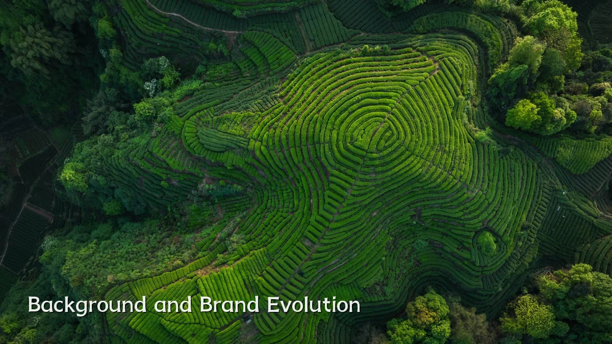 Background and Brand Evolution
