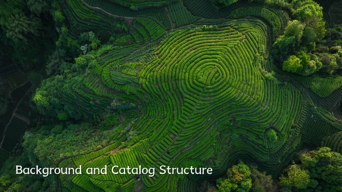 Background and Catalog Structure