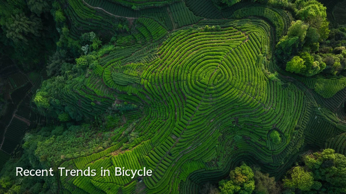 Recent Trends in Bicycle