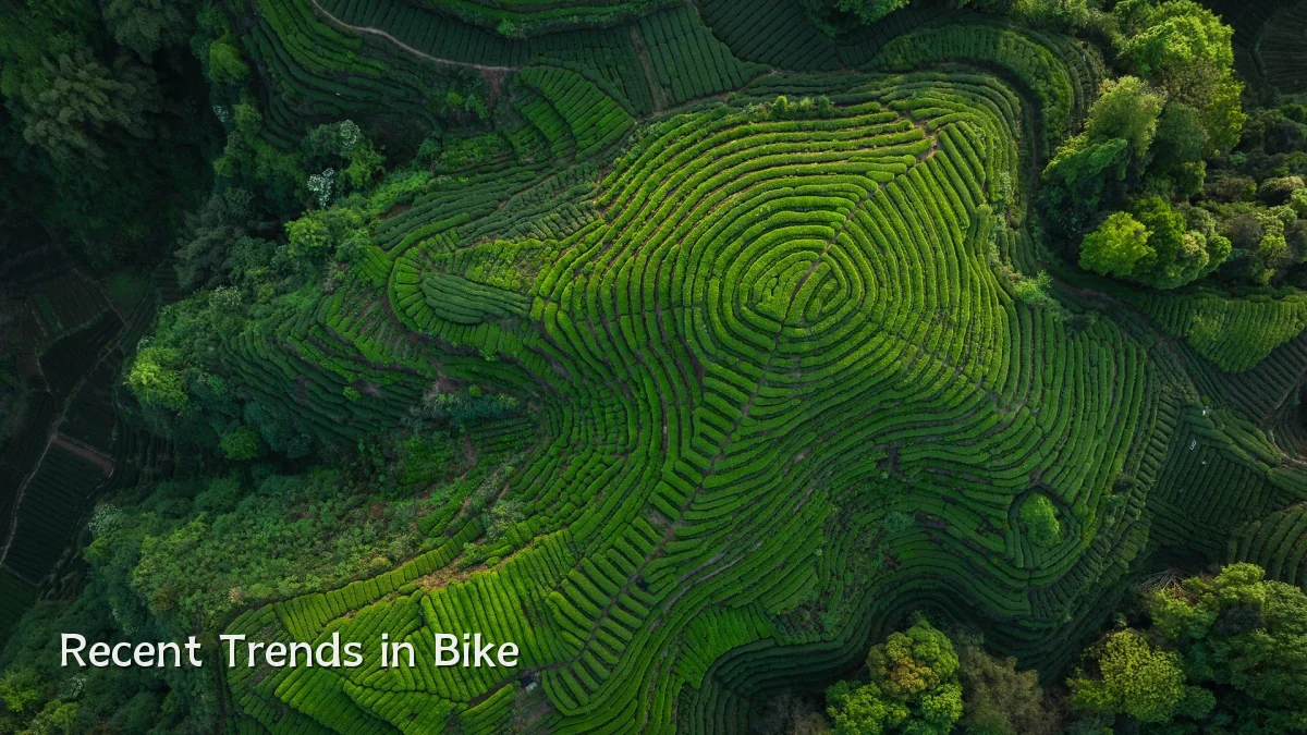 Recent Trends in Bike