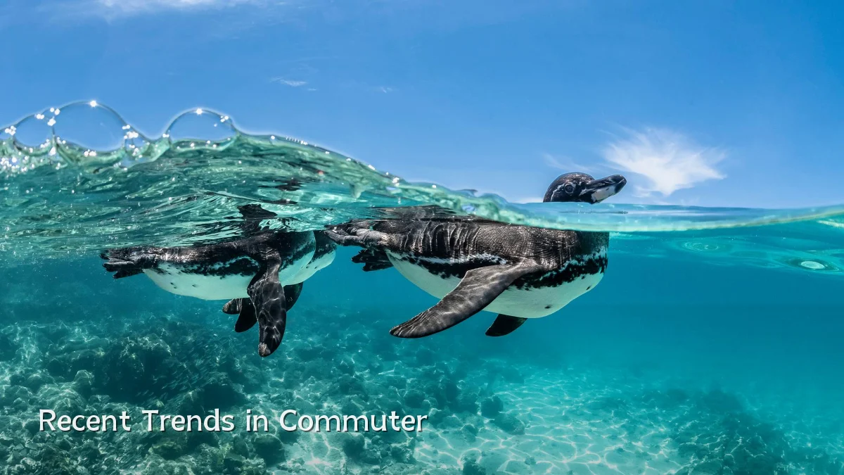 Recent Trends in Commuter