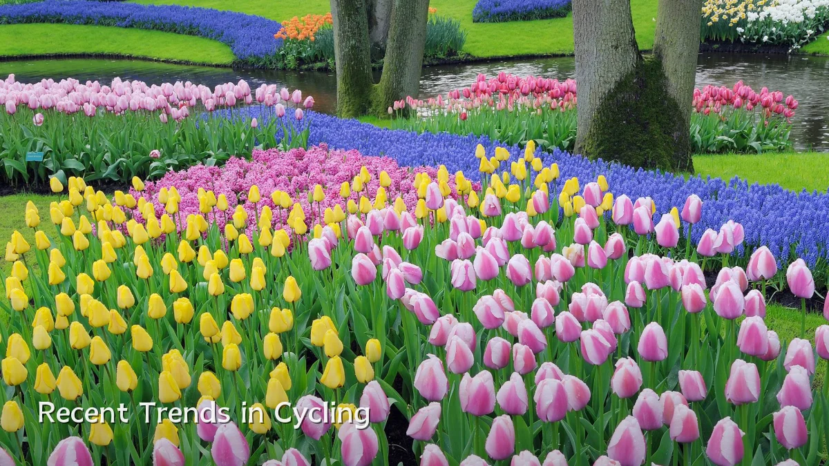 Recent Trends in Cycling