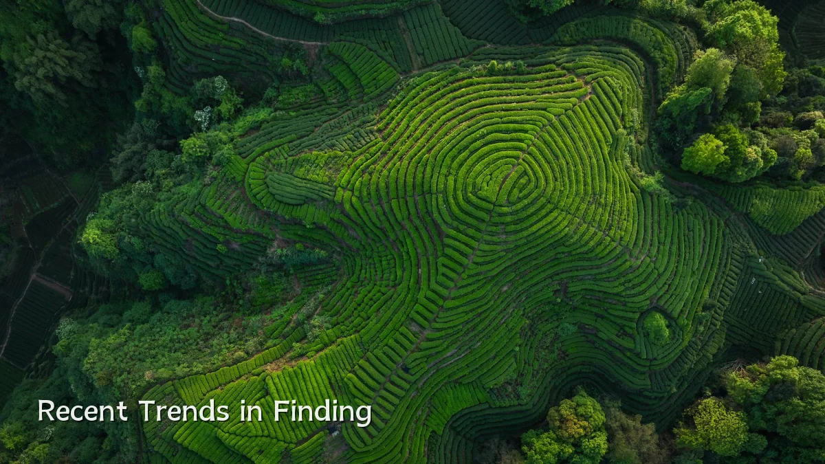 Recent Trends in Finding