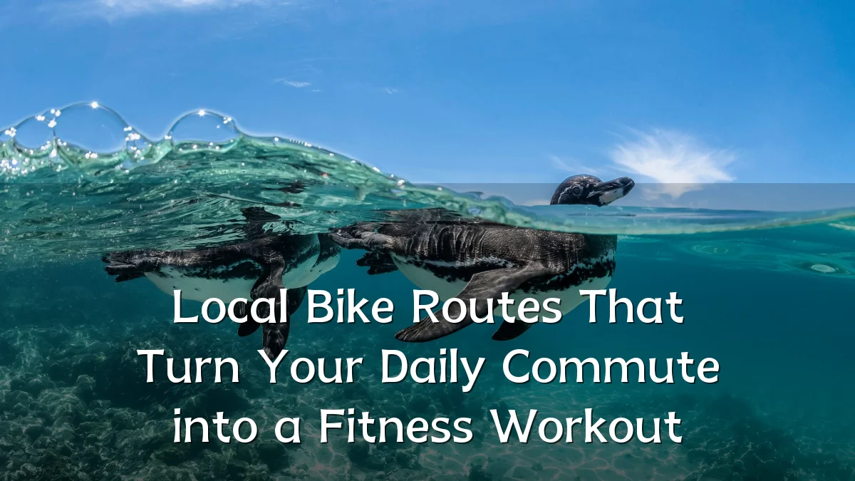 Local Bike Routes That Turn Your Daily Commute into a Fitness Workout