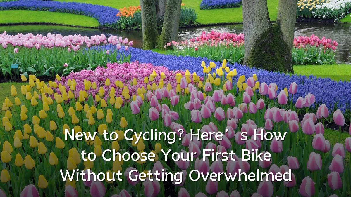 New to Cycling? Here’s How to Choose Your First Bike Without Getting Overwhelmed
