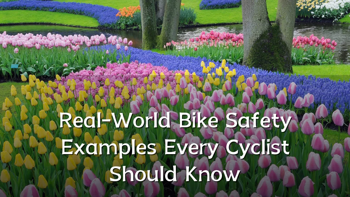 Real-World Bike Safety Examples Every Cyclist Should Know