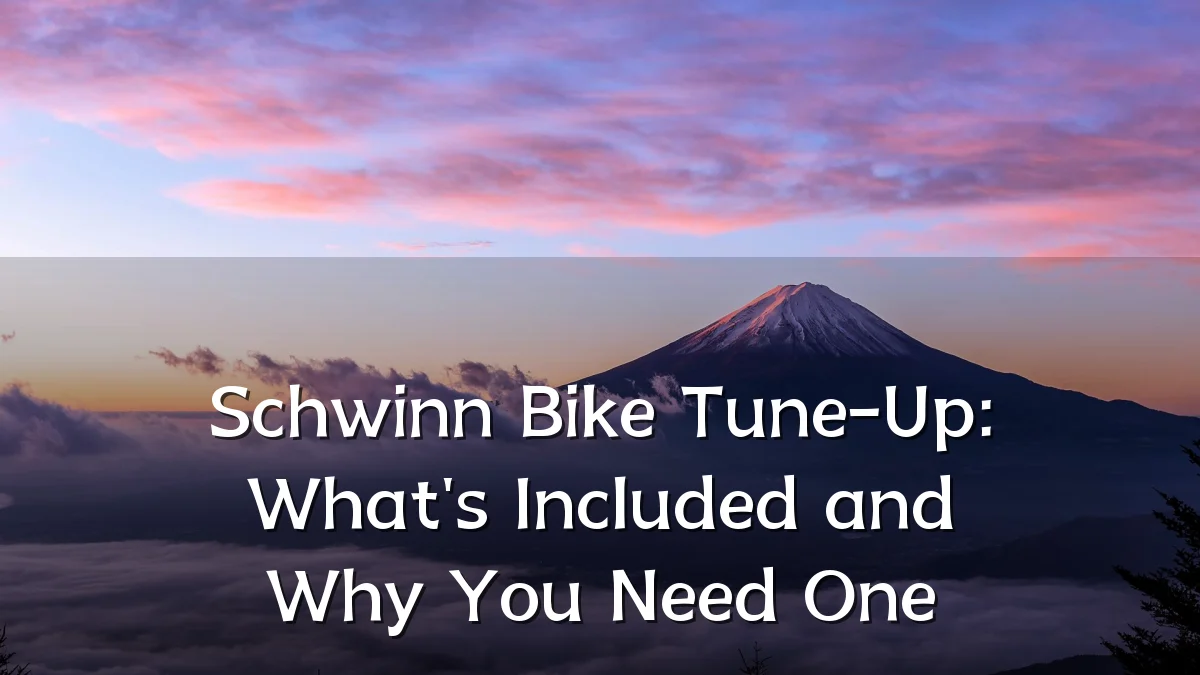 Schwinn Bike Tune-Up: What's Included and Why You Need One