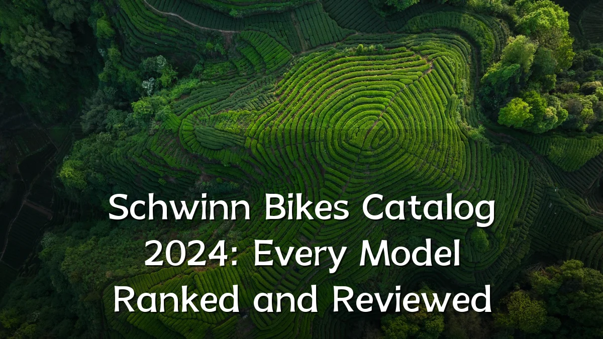 Schwinn Bikes Catalog 2024: Every Model Ranked and Reviewed