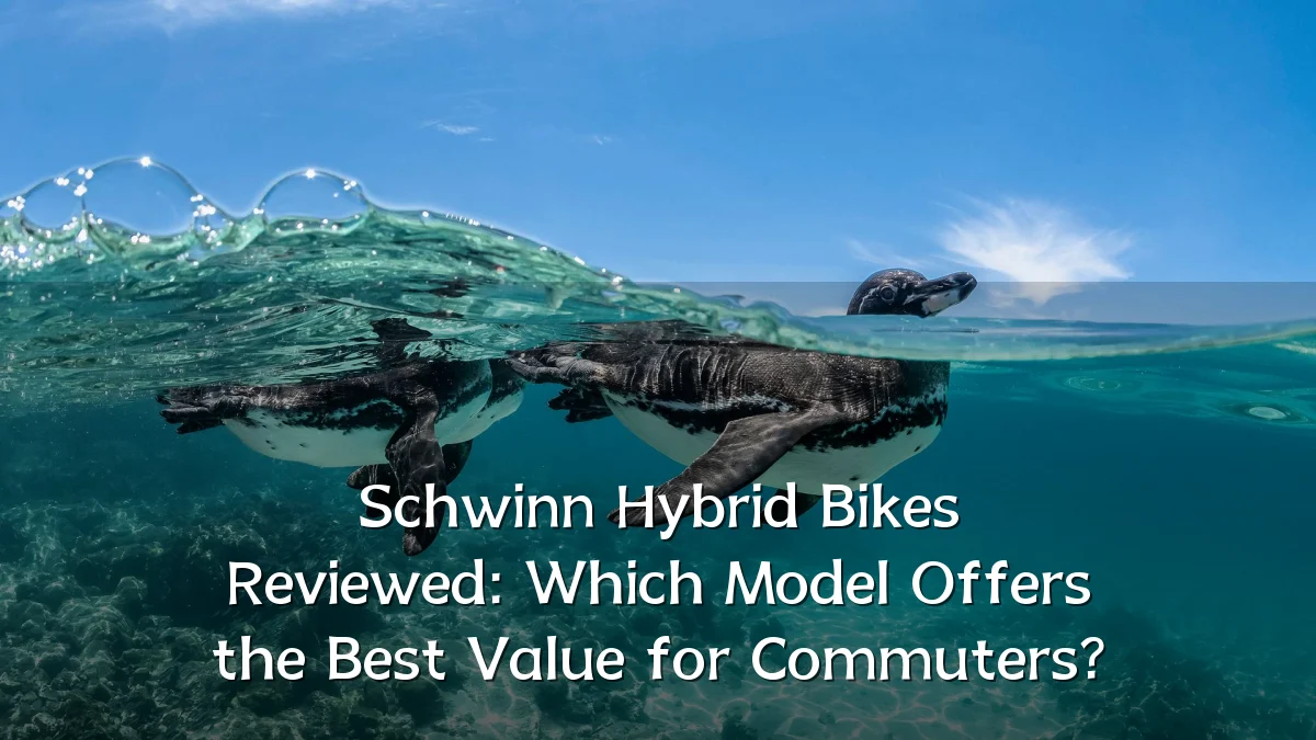 Schwinn Hybrid Bikes Reviewed: Which Model Offers the Best Value for Commuters?